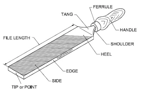 File tool labeled sketch showing teeth and handle